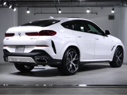 BMW X6 1