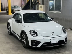 VOLKSWAGEN THE BEETLE 1