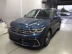 VOLKSWAGEN TIGUAN 1