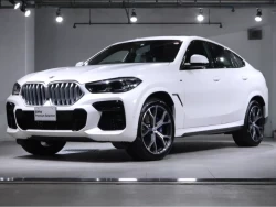 BMW X6 0