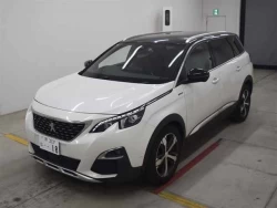 PEUGEOT 5008 1