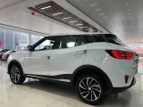 ZOTYE T300 6