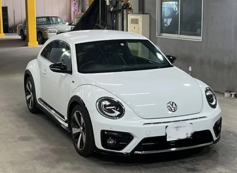 VOLKSWAGEN THE BEETLE