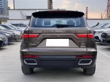 ZOTYE T800 6