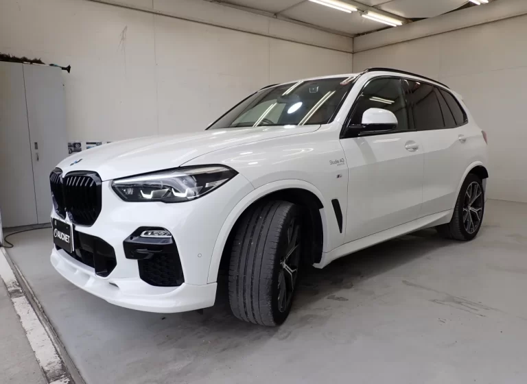 BMW X5 SERIES