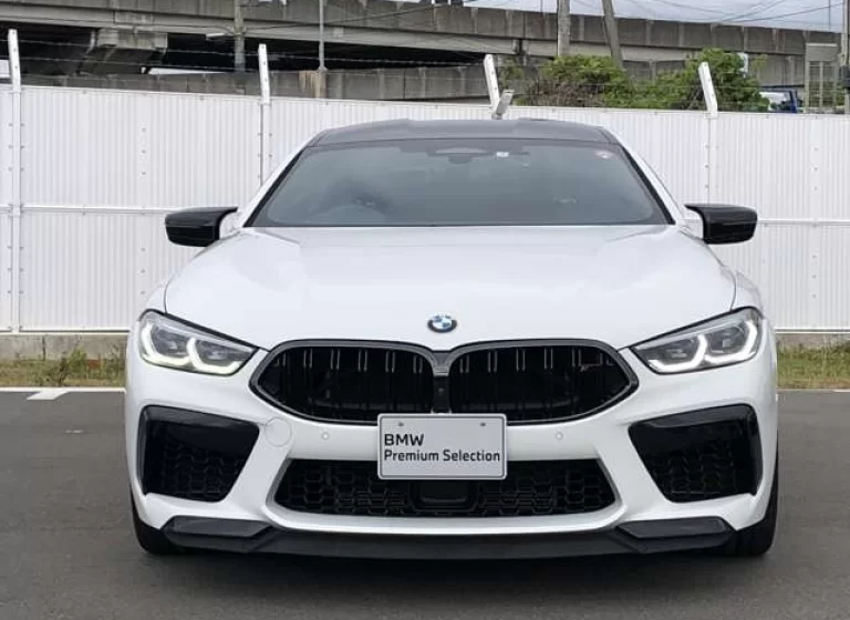 BMW M8