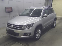 VOLKSWAGEN TIGUAN 1