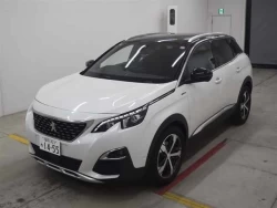 PEUGEOT 3008 1