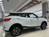 ZOTYE T300 1