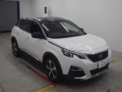 PEUGEOT 3008 0