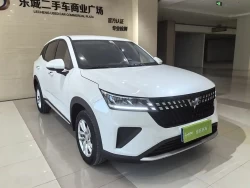 SGMW WULING XINGCHI 0